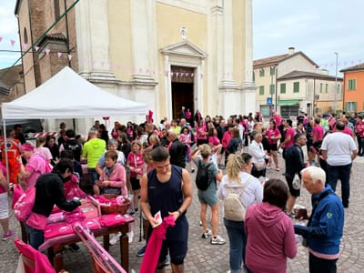 Passeggiata in Rosa, edizioni passate