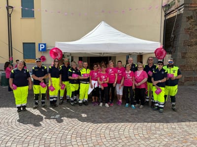 Passeggiata in Rosa, edizioni passate