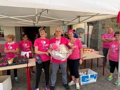 Passeggiata in Rosa, edizioni passate